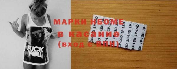 шишки Абаза