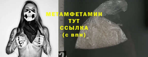 шишки Абаза