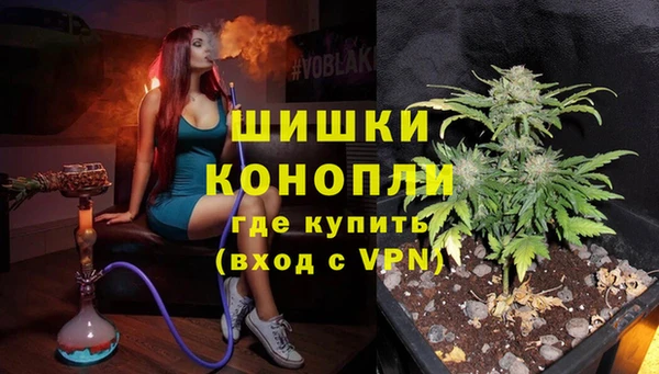 шишки Абаза