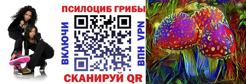 Псилоцибиновые грибы GOLDEN TEACHER  где купить наркоту  ссылка на мегу tor  Отрадный 