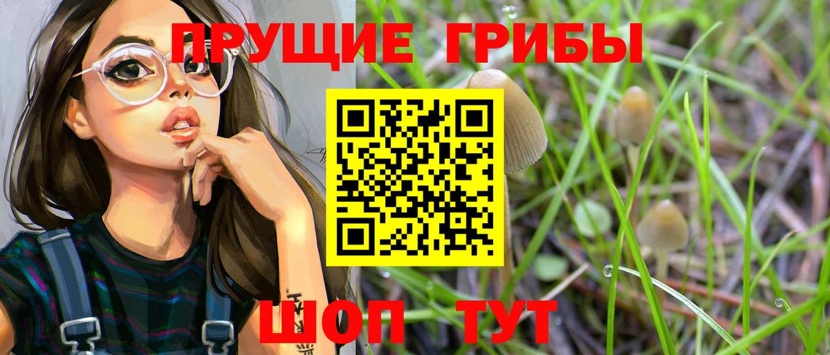 Отрадный  Псилоцибиновые грибы Psilocybine cubensis  Вход с VPN 
