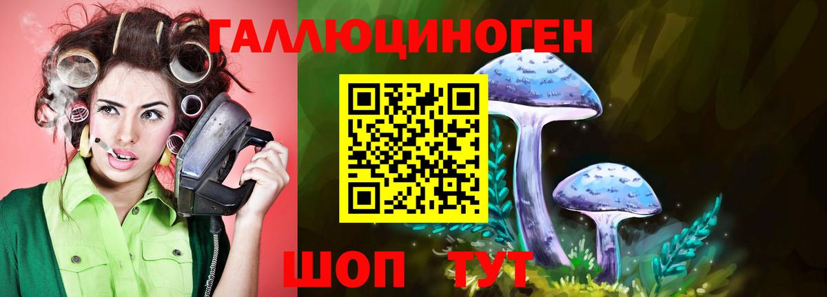 Галлюциногенные грибы прущие грибы Отрадный